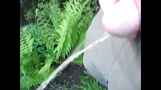 piss